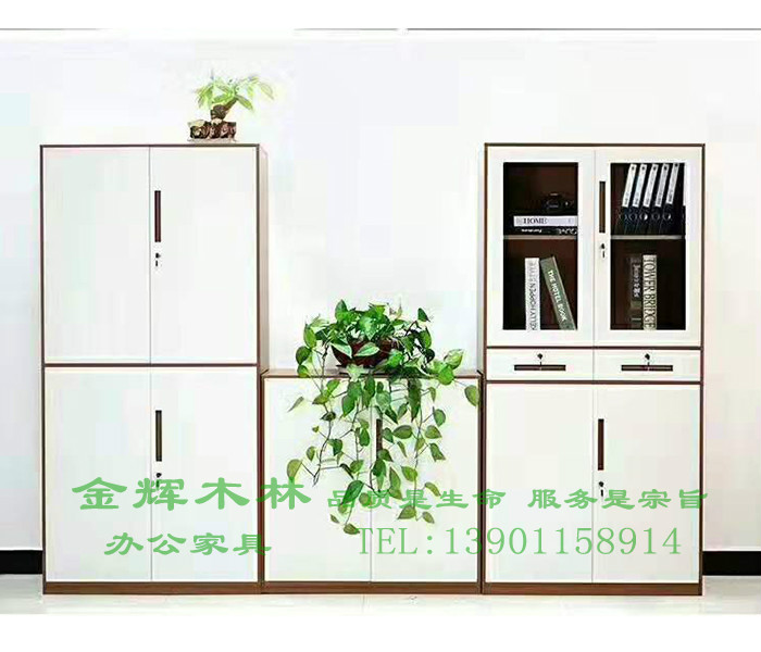 鋼制文件柜-30